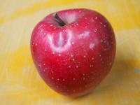 ふじ　【訳あり】