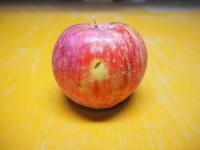 ふじ【丸かじり】