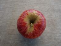 ふじ【丸かじり】