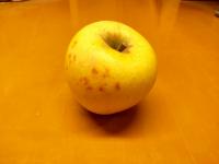 シナノゴールド　【家庭用】