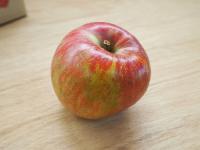 ふじ・シナノゴールド　【家庭用】