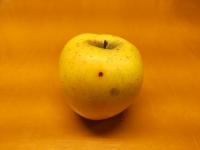 シナノゴールド　【家庭用】