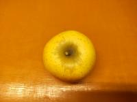 シナノゴールド　【家庭用】