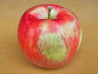 ふじ・王林　【家庭用】