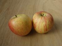 ふじ　【訳あり】