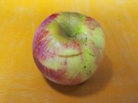 ふじ　【訳あり】