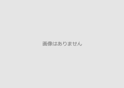 ふじ・王林　【秀】　予約受付中　12月上旬～順次発送